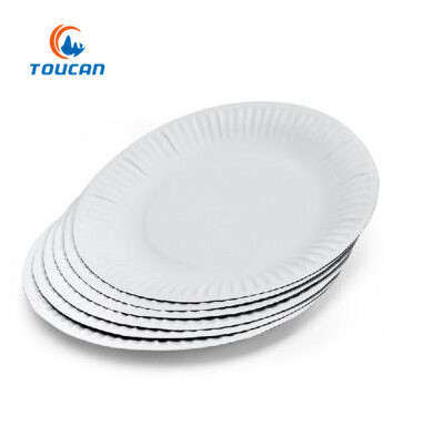 TOUCAN-paper plate