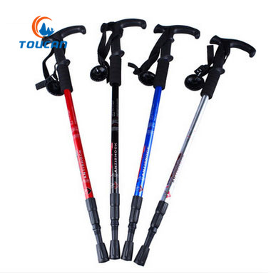 TOUCAN-T handle internal lock rod climbing rod